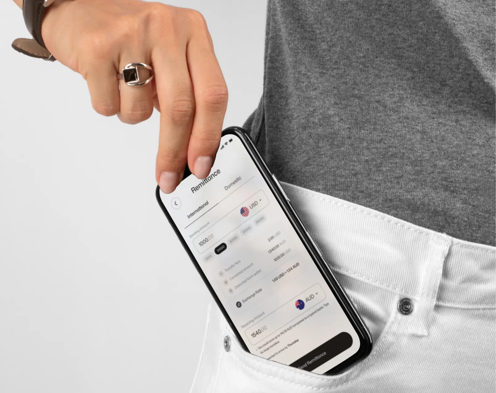 Remittance product preview
